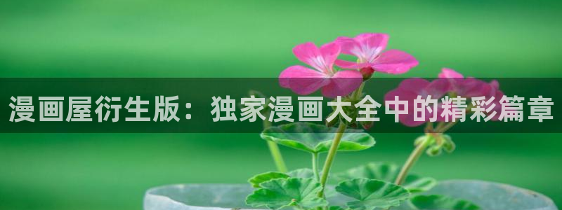 新新漫画漫画章节列表