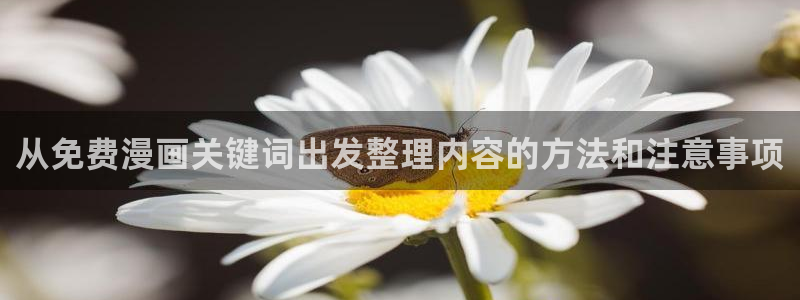 漫漫漫画完结漫画